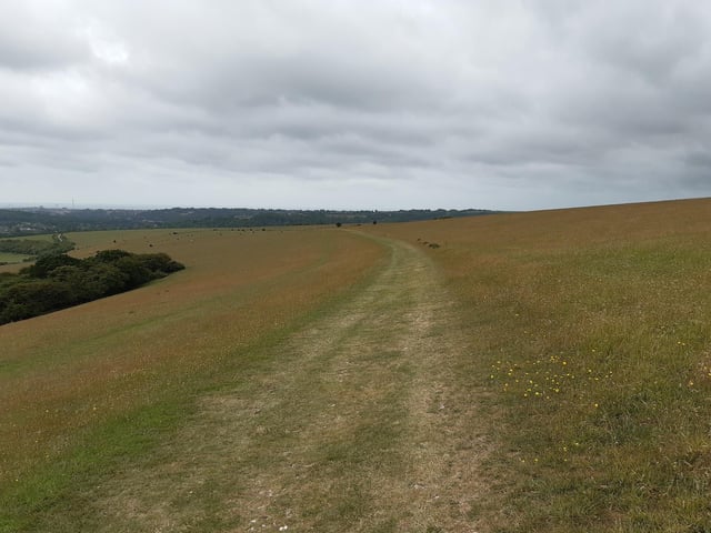 Leave by the top gate and follow the clear path, back past the signpost where you turned right earlier, and on down.