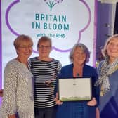 Petworth In Bloom is celebrating their success after the group won Silver Gilt in the National In Bloom competition for the ‘small town’ category.