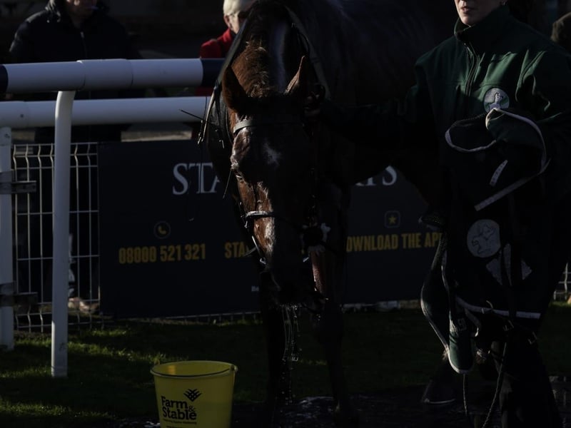 National Spirit Hurdle race day 2026 at Fontwell Park