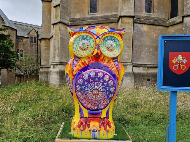 Colourful owls have flown into Arundel as part of the Wild in Art event The Big Hoot trail, raising money for Chestnut Tree House.