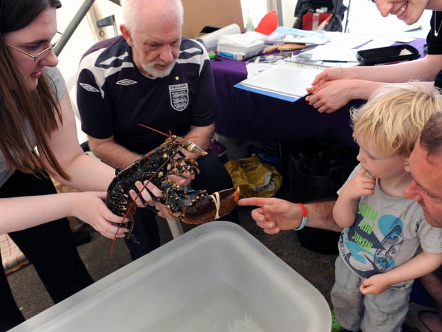 Looking at the lobsters on Oceans Day in Shoreham in 2010