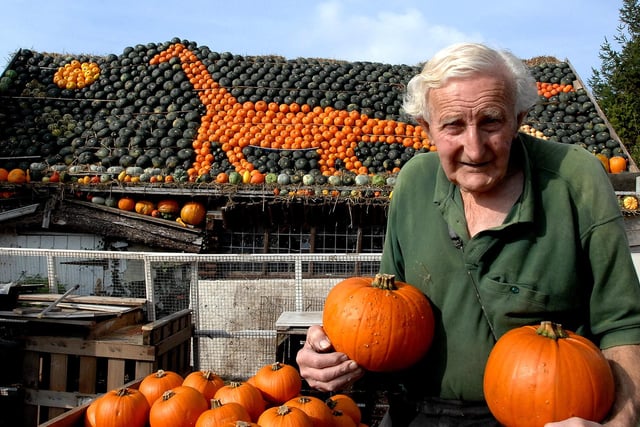 Slindon Pumpkins man Ralph Upton with his dinosaur-themed display in 2007, after the worst harvest in more than 40 years