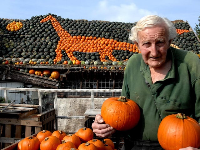 Slindon Pumpkins man Ralph Upton with his dinosaur-themed display in 2007, after the worst harvest in more than 40 years