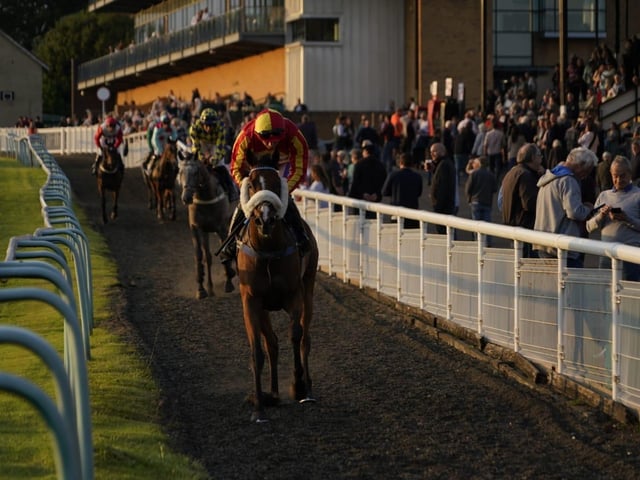 Evening racing at Fontwell Park, June 2025