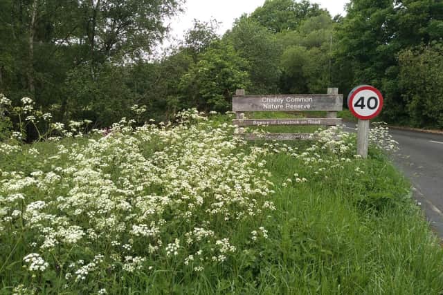 The entrance to Memorial Common, adjacent to Beggars Wood Road, one of the proposed substation sites
