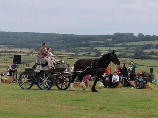 Rye and District Country Show