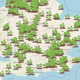 The map shows the locations of Giant Hogweed across the country