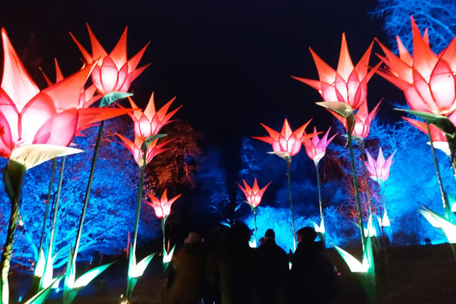 The Leonardslee Illuminated night-time trail features huge installations and a magical soundscape