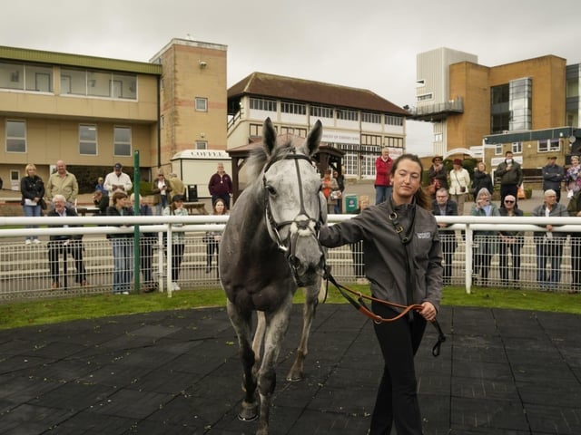 Fontwell Park jump racing action, October 2026
