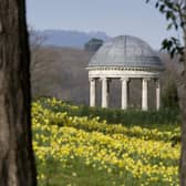 Petworth - daffodil displays and Rotunda, National Trust Images, John Miller