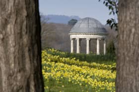 Petworth - daffodil displays and Rotunda, National Trust Images, John Miller