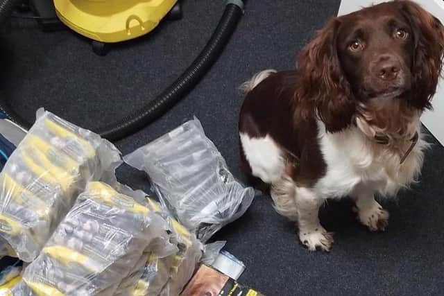 Illegal tobacco is often carefully concealed in secret compartments, requiring specialist detection dogs to find it. Photo: West Sussex County Council