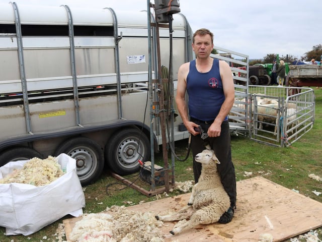 Rye and District Country Show