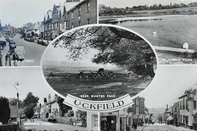 Uckfield postcard including Buxted Park