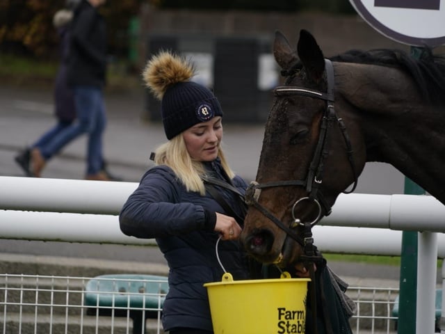 Christmas Jumpers Raceday at Fontwell Park 2025