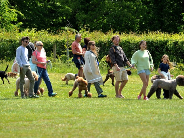 Saturday at Goodwoof 2023. Pic S Robards SR2305201