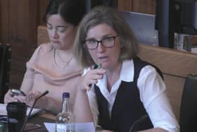 Dr Beccy Cooper, MP for Worthing West, at the Health & Social Care Committee