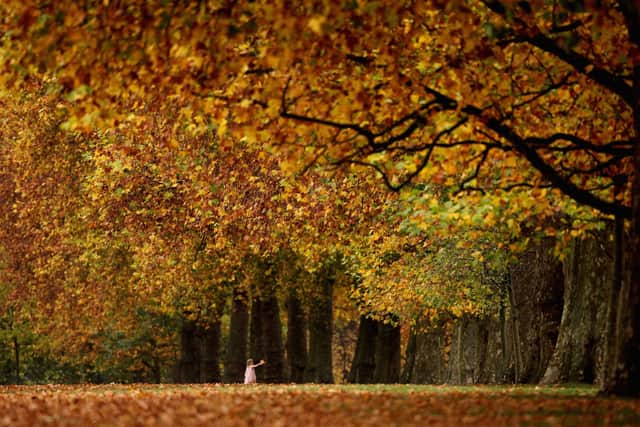 'Autumn’s beauty comes with a reminder that things change' (Photo: Dan Kitwood/Getty Images)