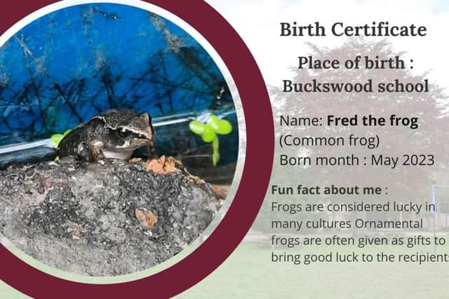 Fred the Frog at the Science Block