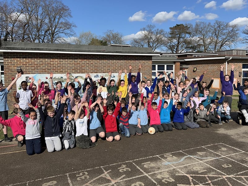 Owl and Woodpecker classes