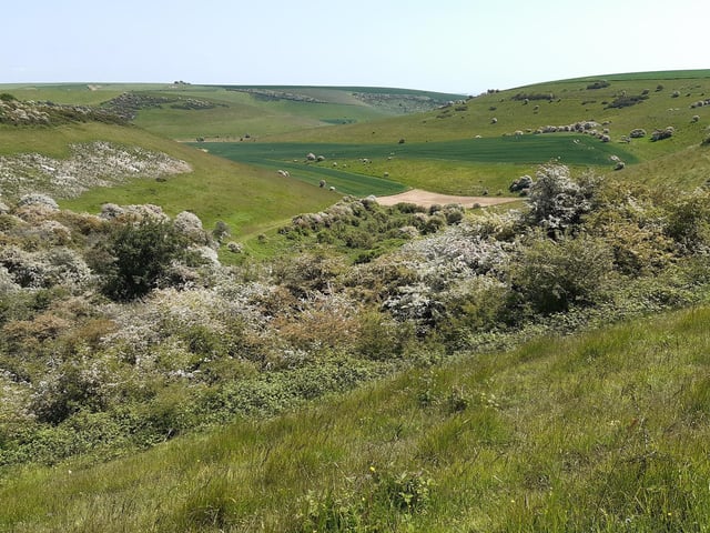 I have just started following the Brighton and Hove Way, which circumnavigates the city – it’s a real adventure! Search for Brighton and Hove Way: Walk from Saltdean Lido to Woodingdean, taking in incredible views at Castle Hill National Nature Reserve