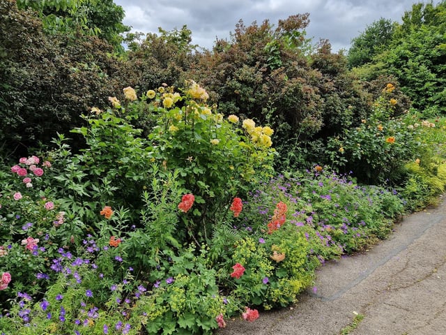 Borde Hill in the sunshine in June 2024