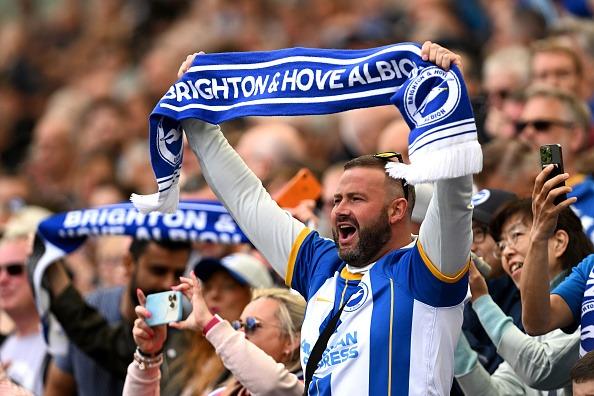 Brighton and Hove Albion fans enjoy the moment at the Amex Stadium