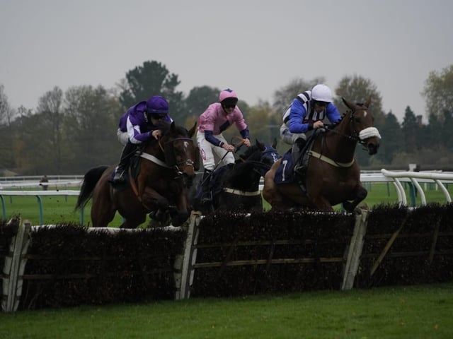 November jump racing at Fontwell Park