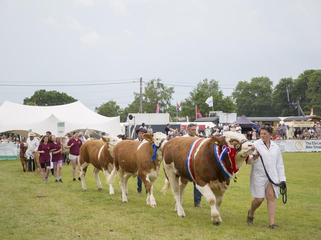 The South of England Show took place at the weekend