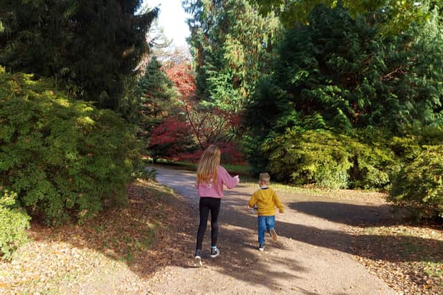 The colours at Sheffield Park, near Uckfield, are spectacular in autumn
