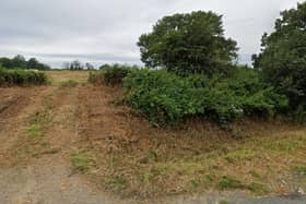 Some of the land in the application, seen from Cuckfield Road. Photo: Google Street View