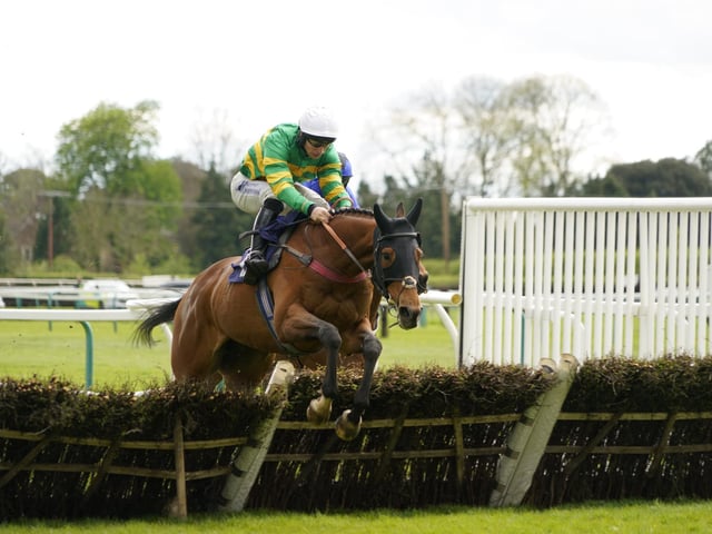 Race 6 The Best Odds Guarenteed At YEEHAA.BET Mares Novices Limited Handicap Hurdle Race at Fontwell on Friday 19 April 2024. www.polopictures.co.uk Fontwell Arundel Clive Bennett 20240419 ©2024 Clive Bennett Photography 19/04/2024 _CAB1807.JPG:Spring jump racing at Fontwell Park