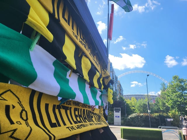 Scarves on sale