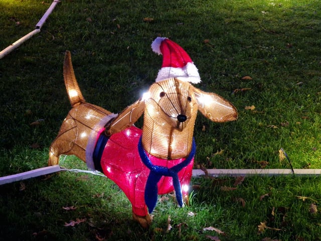 John Wollaston Landscapes and Property Maintenance's animal-themed Christmas lights display has returned for the fourth year running to raise money for Wadars Animal Rescue Charity