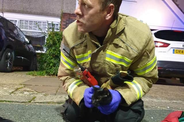 A Worthing firefighter gives oxygen therapy to a cat rescued from the fire. Photo: West Sussex Fire and Rescue.
