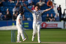 Ari Karvelas of Sussex appeals unsuccessfully for lbw aganst Marnus Labuschagne of Glamorgan (Photo by Mike Hewitt/Getty Images)