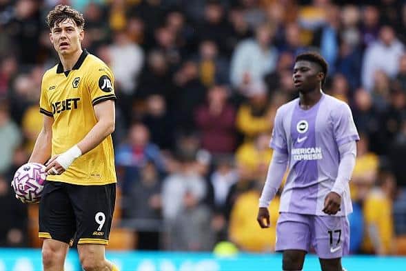 Fabian Hurzeler explains 'frustrating' enforced withdrawal of Carlos ...