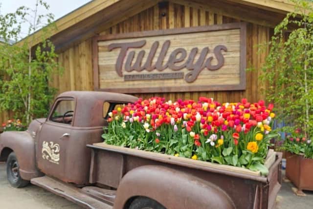 Review: A Sussex spring in full colour: The Tulip Festival at Tulleys ...