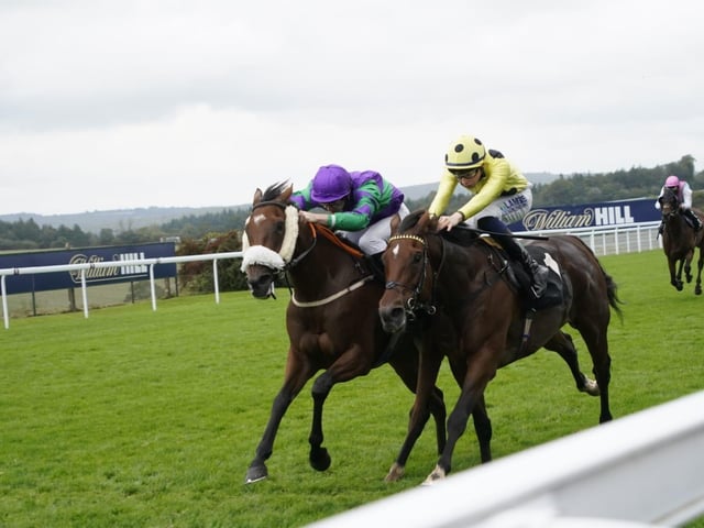 September midweek flat racing at Goodwood