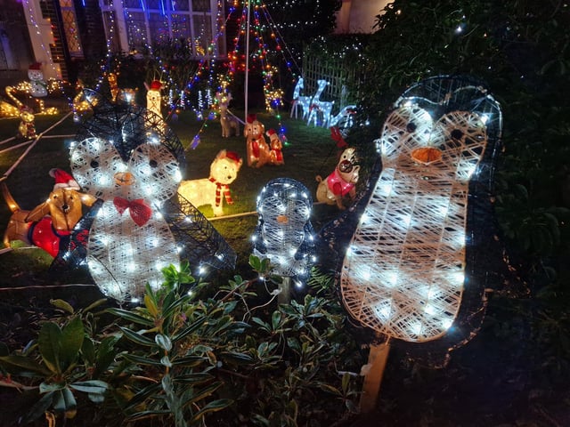 John Wollaston Landscapes and Property Maintenance's animal-themed Christmas lights display has returned for the fourth year running to raise money for Wadars Animal Rescue Charity
