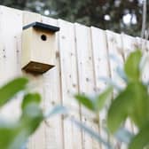 National Nestbox Week at Meadowburne Place