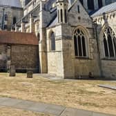 Pictures show the impact of the heatwave in Chichester.