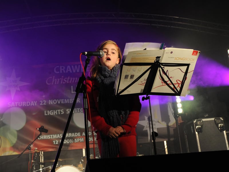 jpco 26-11-14 Christmas Lights switch on in The Boulevard, Crawley 2014 (Pic by Jon Rigby)