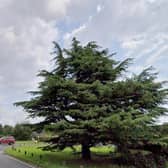 There is a report of a fallen tree on the A26 at Five Ash Down. Photo: Google Street View