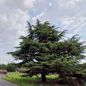 There is a report of a fallen tree on the A26 at Five Ash Down. Photo: Google Street View