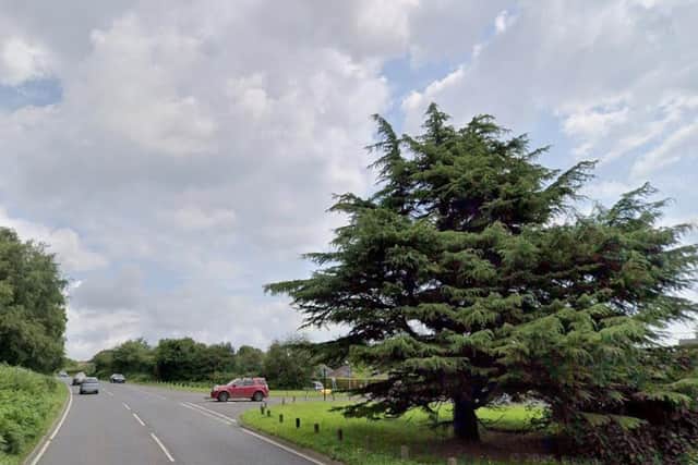 There is a report of a fallen tree on the A26 at Five Ash Down. Photo: Google Street View