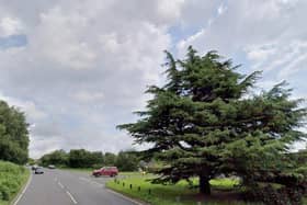 There is a report of a fallen tree on the A26 at Five Ash Down. Photo: Google Street View