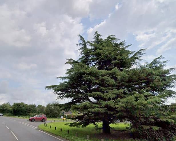 There is a report of a fallen tree on the A26 at Five Ash Down. Photo: Google Street View