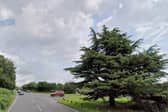 There is a report of a fallen tree on the A26 at Five Ash Down. Photo: Google Street View