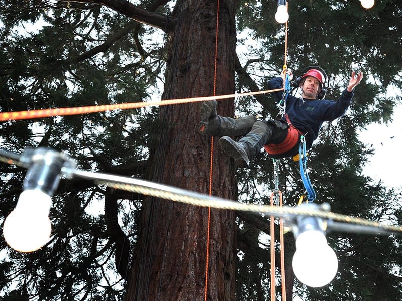 Staff at Wakehurst Place put Christmas lights up on one of their large trees near the mansion. James Pumfrey (Team Leader Woodland Conservation Unit)